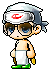 Pook
